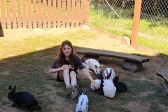 515547838_1186452053494636_4793323837634385451_n