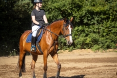 515758174_1187054150101093_5084083729631909535_n