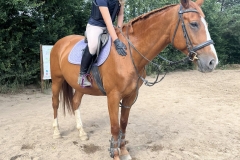 515892932_1187054720101036_2048377293213382701_n