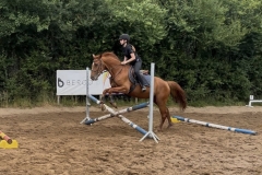 515959317_1186450296828145_7505683362934220522_n