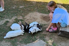 515959616_1186451936827981_5532014814808098291_n