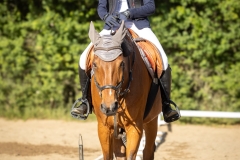 515987355_1187054180101090_5266805034173751153_n