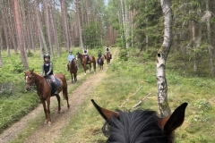 516098668_1186451913494650_7284751569045503603_n