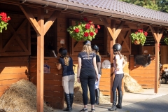 516230787_1187054236767751_5518276972050896012_n