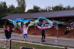 516242411_1186450600161448_6985566469496547175_n