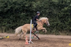 516303369_1186451986827976_8696624086913932162_n