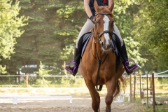 516371862_1187054443434397_4530496035490687133_n