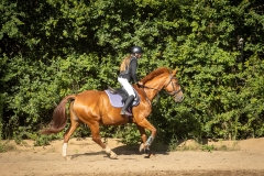 516417267_1187054643434377_6496719477116145549_n