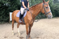 516440596_1186450306828144_3702341025255542010_n