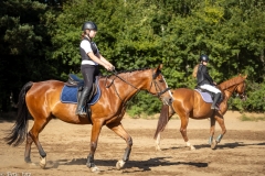 516451936_1187054586767716_7339001530443840455_n