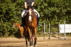 516527242_1187054290101079_3363427555153153133_n