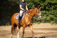 516554442_1187054620101046_8709117234244576506_n