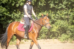 516565347_1187054410101067_5491146812468033041_n