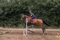 516594651_1186450366828138_385278182068444194_n