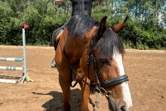 517152026_1191244213015420_1493859579454396313_n