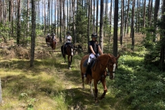 517157908_1191244896348685_3024966075239074997_n