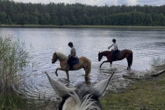 517247989_1191244743015367_7686296769287361308_n