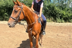 517573126_1191244453015396_8739464534335369666_n