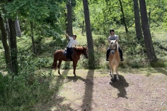 517941888_1191244386348736_1350901676839574688_n