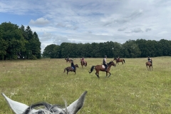 518146428_1197971839009324_2256046013010399926_n