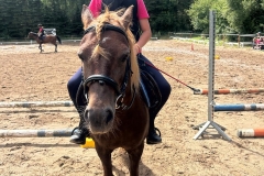 518248388_1197971852342656_9091205942947863566_n