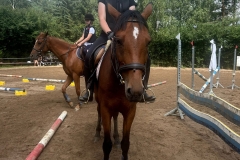 518334251_1195312475941927_4339066391900307775_n