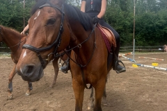 518349966_1195312165941958_3506092142758526075_n