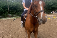 518353363_1195312082608633_802503858852236304_n