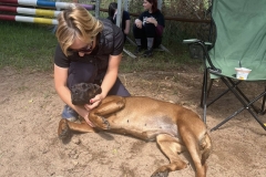 518431147_1195312365941938_883196690796714837_n