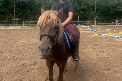 518488251_1195312375941937_5296932257453755824_n