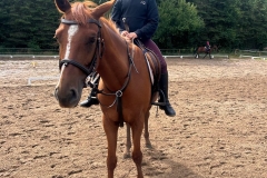 518979994_1197971955675979_1722692808617075170_n