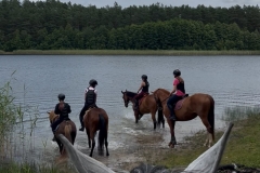 519037605_1197971802342661_2848607426111555123_n