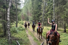 519105215_1197972269009281_2988934141228463284_n