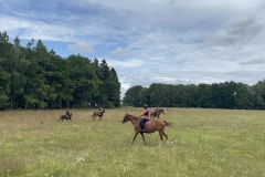 519644795_1197972305675944_8938488167169247000_n