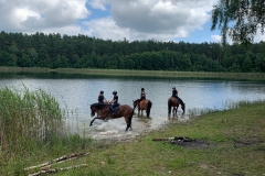 519660766_1197971999009308_589204018878125042_n