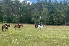 519672410_1197972095675965_6350677669063692142_n