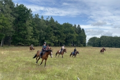 519899196_1197971892342652_8519861485736245609_n