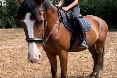 519940094_1197972322342609_3957225937087367551_n