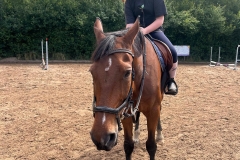 520221559_1197972222342619_2111382988971375134_n