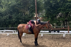 520509930_1197972149009293_1258851983813909880_n