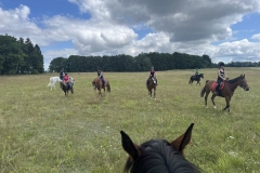 520513713_1197972165675958_477941940048650221_n