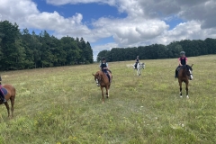 520566444_1197972199009288_2751118396588209497_n