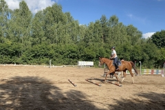 520621937_1198770532262788_3246877860994473791_n