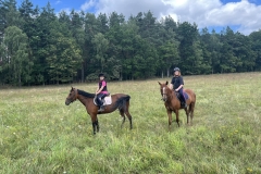 521647916_1197972072342634_5229596651955728480_n