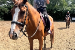 521687655_1197972279009280_2579530972599818174_n