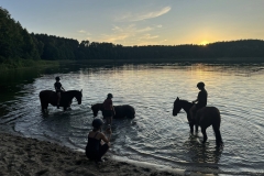 523808132_1202824418524066_6516893897949474882_n