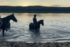 523889565_1202824431857398_2929333828149633599_n