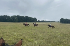 524686801_1204973524975822_357183947612952309_n