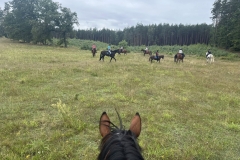 525019739_1204973434975831_5052246540871047345_n