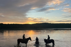 514259108_1208569577949550_813193347530046303_n